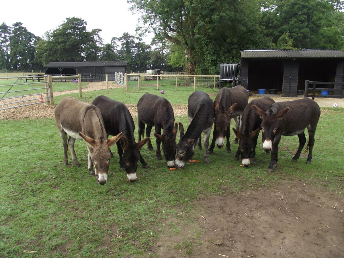 Wyvern Farm Garvestone Zewnętrze zdjęcie